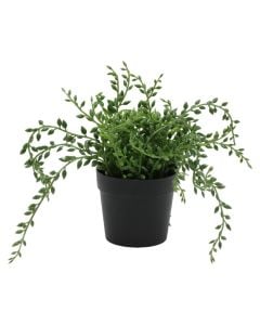 Artificial flower, in vase, green/black, 27 cm