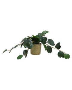 Artificial flower, plastic, green, Ø22xH25 cm