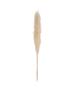 Artificial flower, Pampa, dried, natural, 110 cm