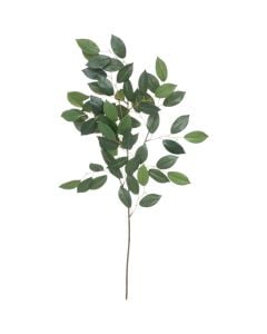 Artificial branch, Camelia, polyethylene, green, 42xH70 cm