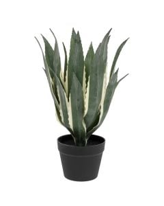 Artificial plant, Agave, plastic/cement, green/black, Ø35xH55 cm