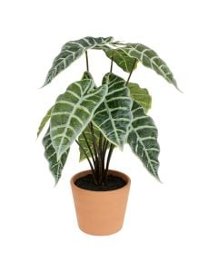 Artificial plant, Alocasia, plastic, green/terracotta, Ø28xH43 cm