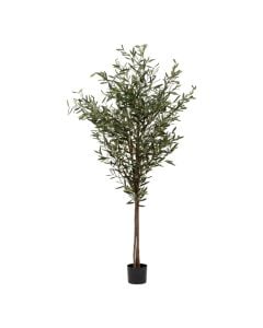 Artificial tree, Olive, plastic, green, Ø80xH210 cm