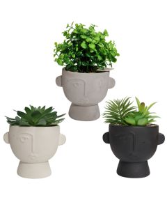 Artificial flower, Dusty, in vase, plastic/ceramic, green/white, 15x12xH16 cm