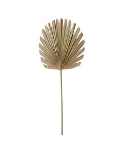 Artificial flower, dried, natural, 44xH103 cm