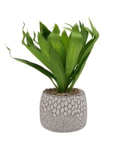 Artificial flower, in pot, plastic, green, Dia.10xH25 cm