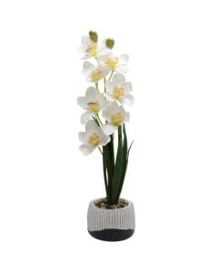 Artificial flower, in pot, plastic, white, Dia.14xH56 cm