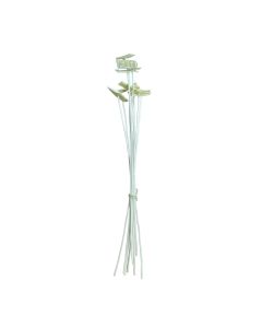 Natural dried flowers, cream/natural, 70 cm