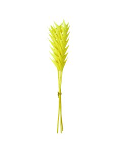 Natural dried flowers, yellow, 65 cm