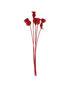 Natural dried flowers, red, 60 cm