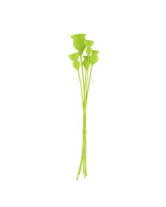 Natural dried flowers, light green, 60 cm