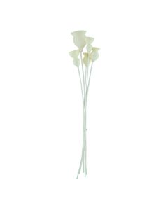 Natural dried flowers, natural, 60 cm