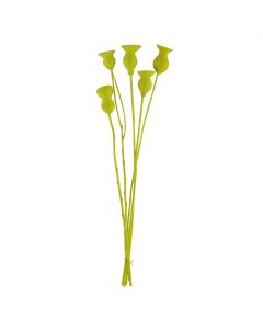 Natural dried flowers, yellow, 60 cm