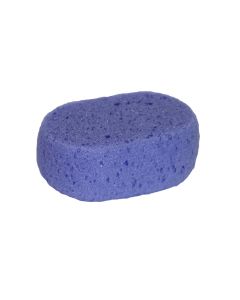 Body sponge