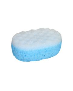 Body sponge