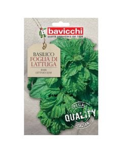 Herbs plant seeds, basil lettuce leaf