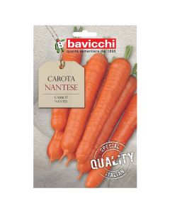 Vegetable seeds, carrot nantes
