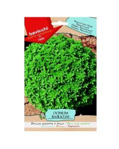 Herbs plant seeds, basil fine compact