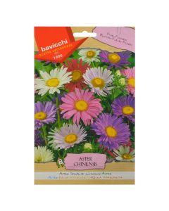 Flowers seeds, aster