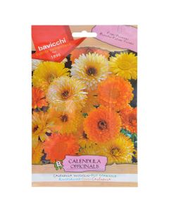 Flowers seeds, pot marigold