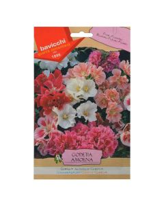 Flowers seeds, godetia