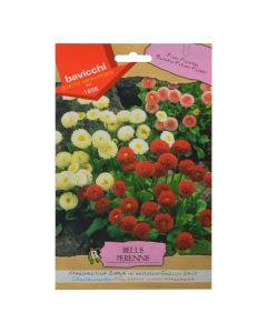 Flowers seeds, english daisy