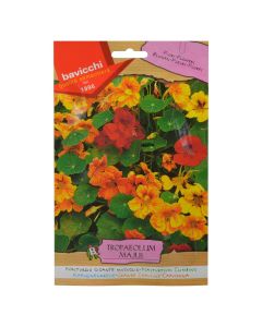 Flowers seeds, nasturtium climbing