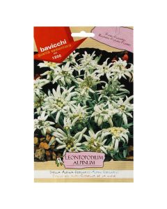 Flowers seeds, edelweiss
