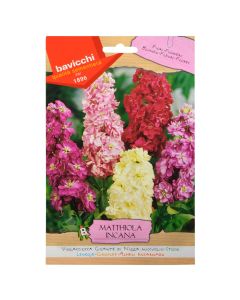 Flowers seeds, stock