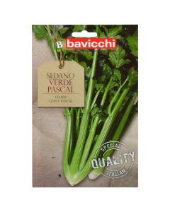 Vegetable seeds, sedano pascal