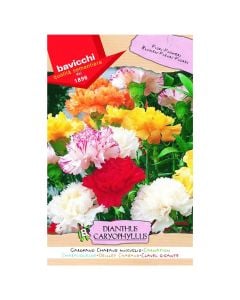 Flowers seeds, dianthus
