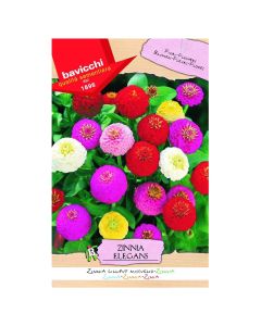 Flowers seeds, zinnia