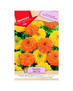 Flowers seeds, tagets