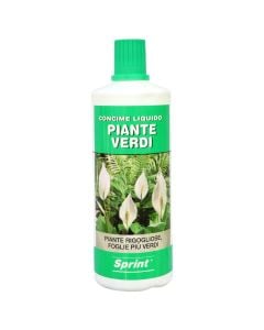 Fertilizer, Sprint, bottle/1150 gr, for indoor plants