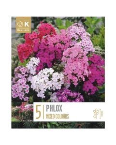 Perennial bulbs, phlox mix, 5 pieces/pack