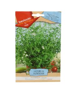 Herbs plant seed, satureja hortensis