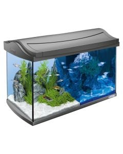 Akuarium, Pacifik, 60 L