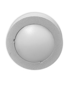 wall lamp aluminium die casting body with glass MAX:5xLED 0.5W IP54 silver grey