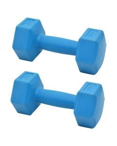 Dumbbell, XQ MAX, 2x1 kg, blu