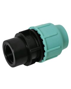 Female adapter 25x3/4" PN 10