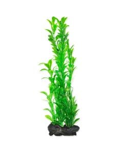 Aquarium Decorator, Tetra, 709931, Hygrophila