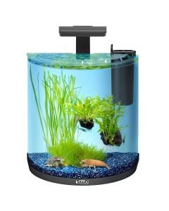 Aquarium, Tetra, Explorer Line, 30 L, with arch