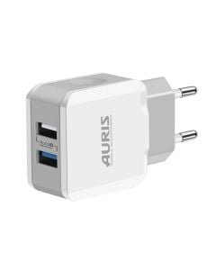 Karikues + fishë, Auris, CH17, 3.4A, fishë USB - Type-C