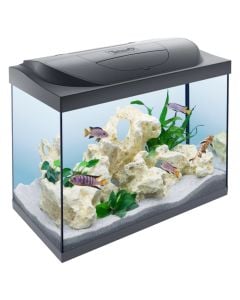 Aquarium, Tetra, TL 30155, 80 L, LED lighting