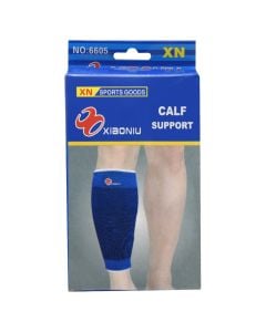 Elastic support for the pulp