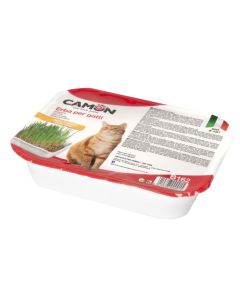Grass for cats, Camon, 130 g, with dry seeds
