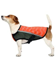 Raincoat for dogs, Camon, 36 cm