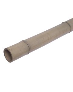 Bamboo natyral per dekorim, Videx, H150 x Ø 7 cm, e trajtuar me llak