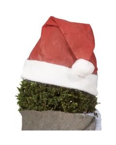 Protective layer ªChristmasª for plant soil, Videx, H42 x L36 cm, red color