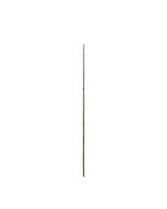 Natural bamboo, Giardino Verde, H90 cm, Ø 10-12 mm